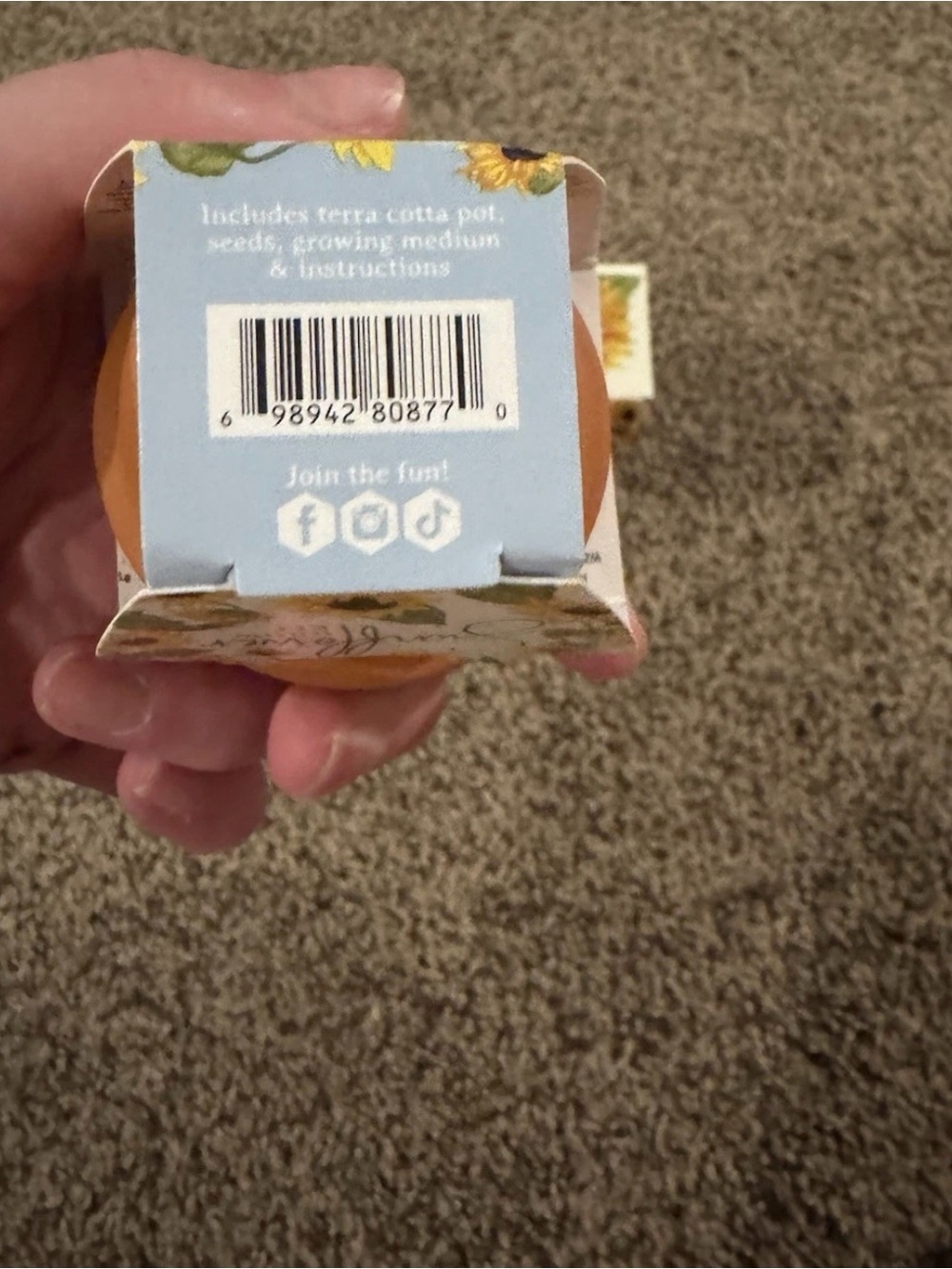 Sunflower Kit - Picture 3 of 3